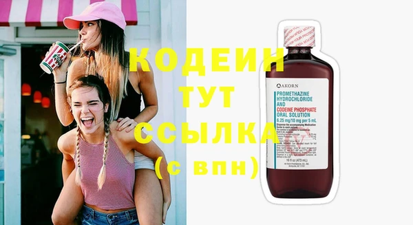 гидра Новозыбков