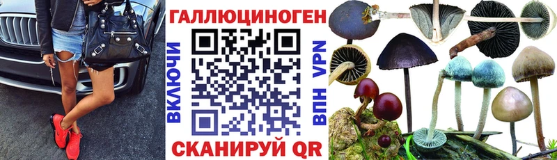 сколько стоит Тайга Псилоцибиновые грибы ЛСД